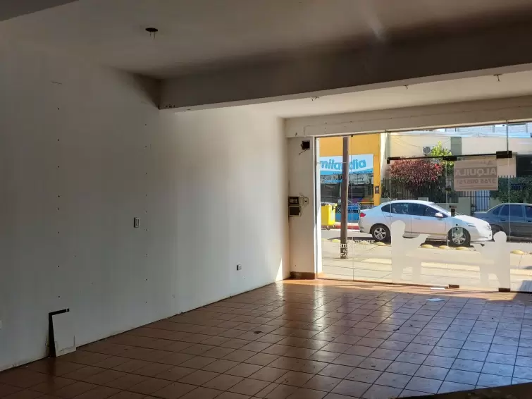 EXCELENTE LOCAL COMERCIAL CÉNTRICO