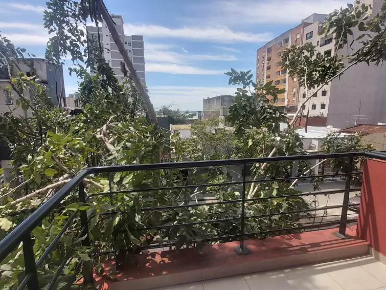 MONO AMBIENTE CENTRICO